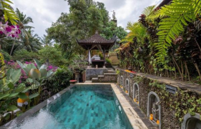 Rumah Kelinci